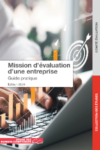 Mission d'évaluation d'une entreprise